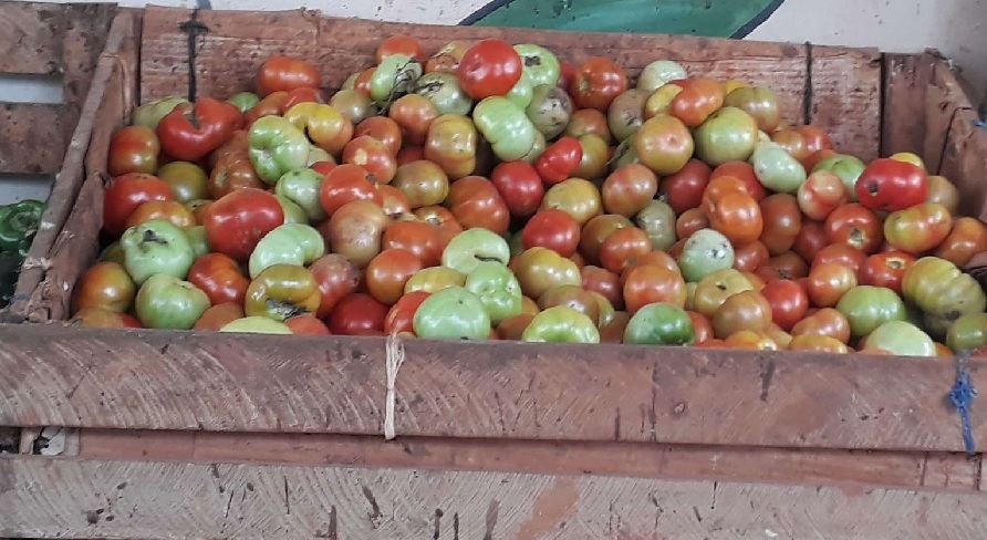 Mantiene variedad de productos en venta mercado agropecuario el Framboyán en Sandino