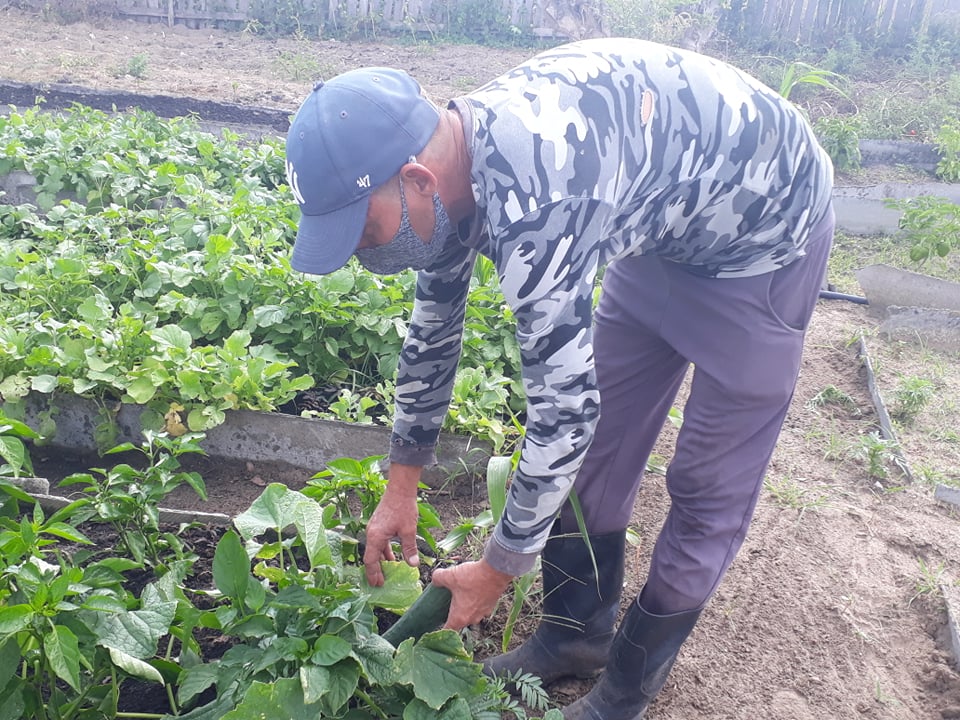 Organopónico Cuba-Venezuela, un buen ejemplo en la producción de alimentos