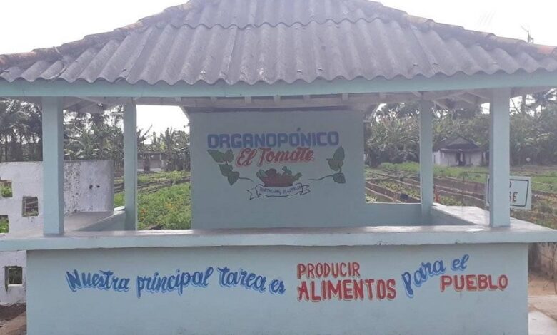 Deviene prioridad en Sandino la producción de alimentos