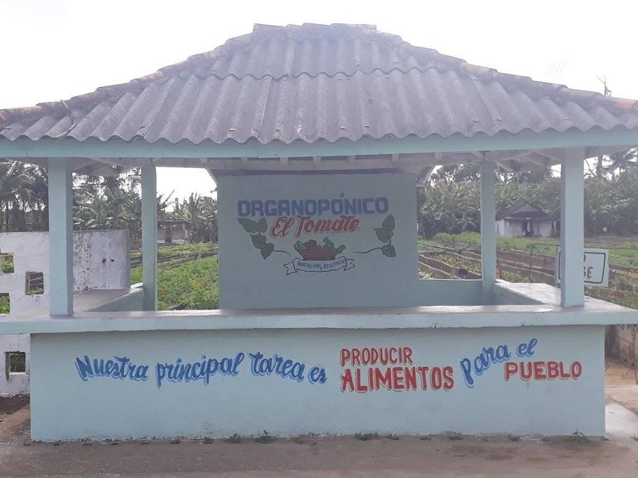 Deviene prioridad en Sandino la producción de alimentos