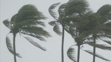 Ejercicio Meteoro 2021, esencial para la reducción de riesgos en Sandino