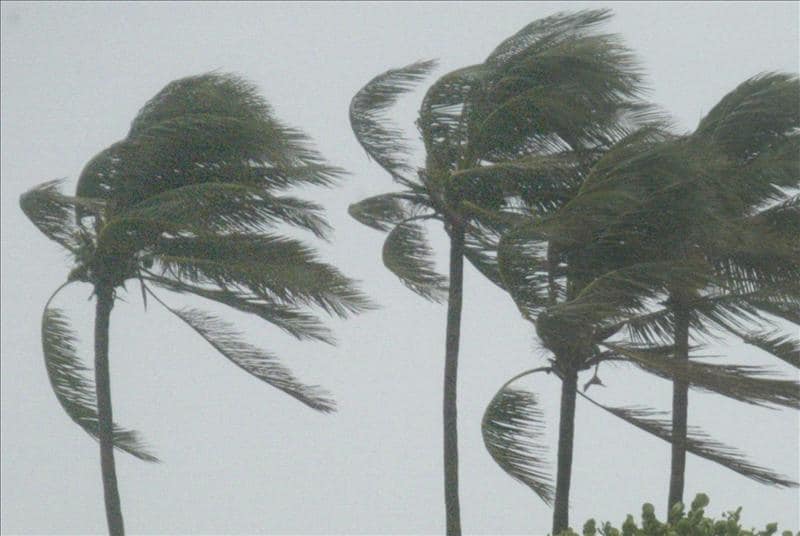 Ejercicio Meteoro 2021, esencial para la reducción de riesgos en Sandino