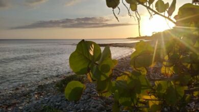 Guanahacabibes,donde se guarda el sol de Cuba