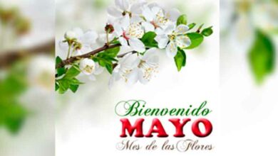 Mayo, el mes de las flores