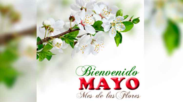 Mayo, el mes de las flores