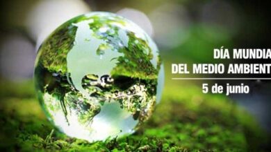 día mundial medio ambiente