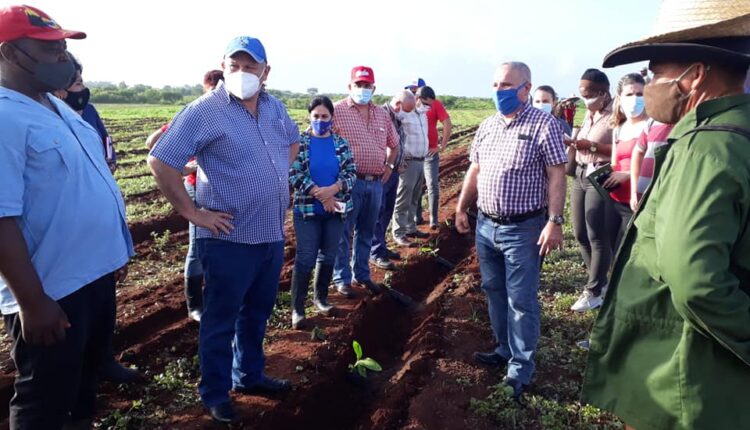 jorge luis tapia unidades productivas