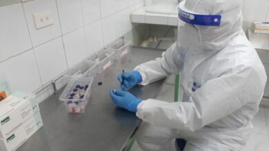 laboratorio pinar