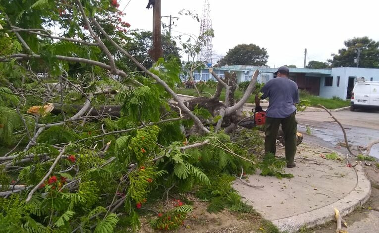 Poda de árboles, una prioridad para ETECSA en Sandino