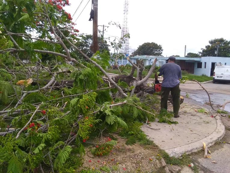 Poda de árboles, una prioridad para ETECSA en Sandino