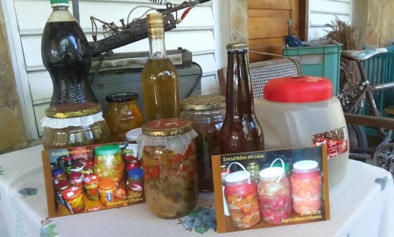 Cultiva Tu Pedacito por encima de expectativas
