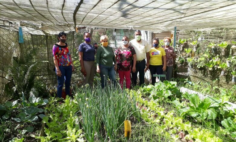 Avanza movimiento de la agricultura urbana , suburbana y familiar en Sandino