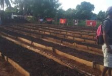 Inauguran organopónico Los Febles en Cortés