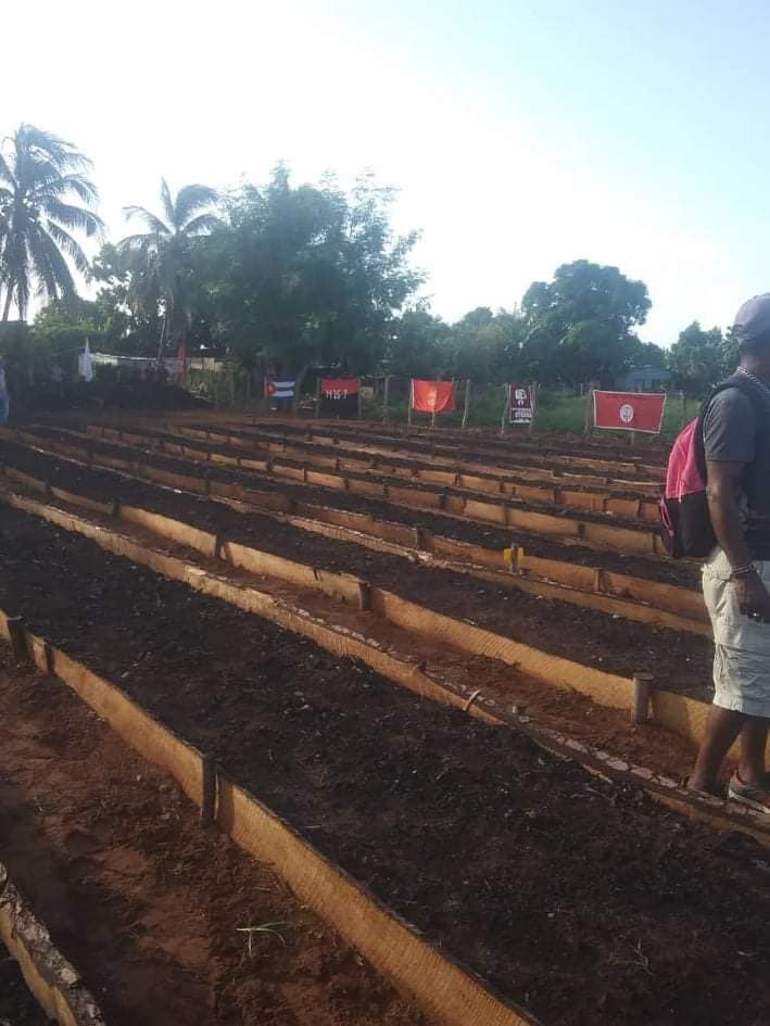 Inauguran organopónico Los Febles en Cortés