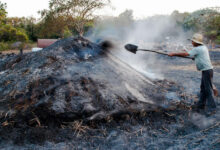 carbon guanahacabibes sandino