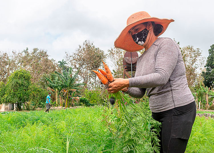 comercialización productos agrícolas