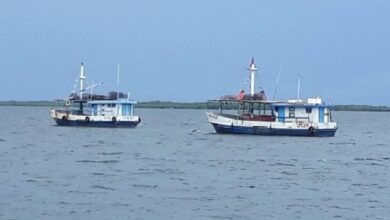 Incumple captura de langosta Unidad Empresarial de Base de pesca Valentín Valdés