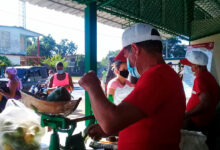 mercado-agroecuario-comercialización-alimentos