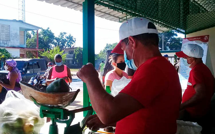 mercado-agroecuario-comercialización-alimentos