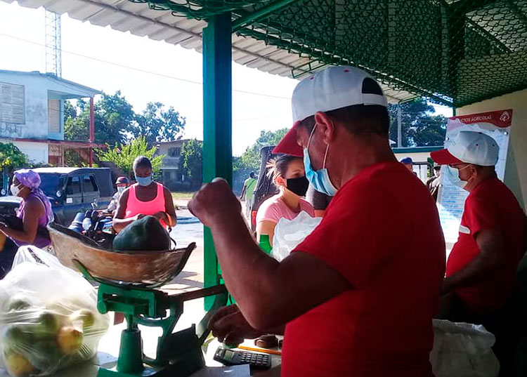 mercado-agroecuario-comercialización-alimentos