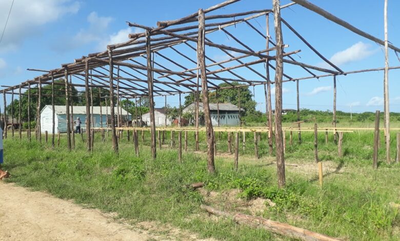 Laboran en Sandino para poner en funcionamiento módulos pecuarios