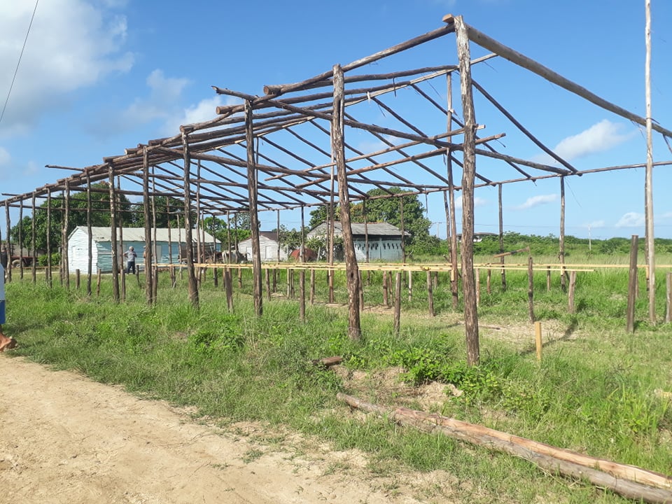 Laboran en Sandino para poner en funcionamiento módulos pecuarios