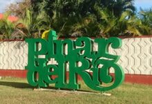 pinar medidas covid-19