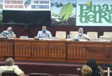 portal miranda delta