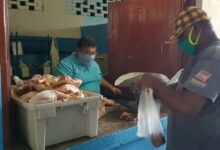 unidad la bondad sandino