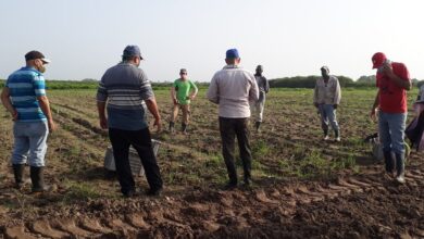 Inicia Campaña de Frío en Sandino