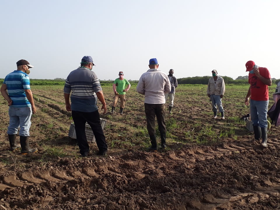 Inicia Campaña de Frío en Sandino