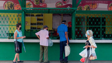 comercialización agropecuaria pinar