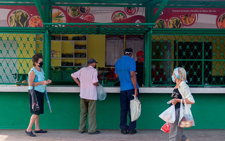 comercialización agropecuaria pinar