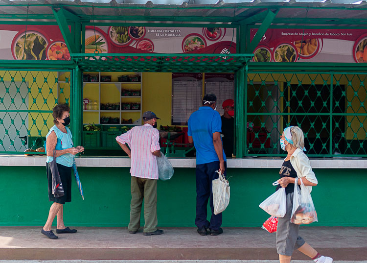 comercialización agropecuaria pinar