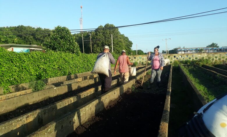 Otorgan a Sandino evaluación de Bien en visita del grupo provincial de la Agricultura Urbana