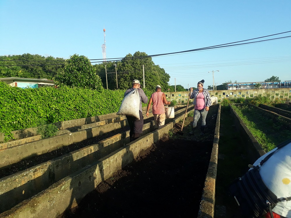 Otorgan a Sandino evaluación de Bien en visita del grupo provincial de la Agricultura Urbana