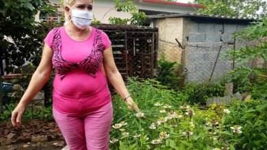 Augurar seguridad alimentaria ayuda a mejorar la convivencia familiar cubana