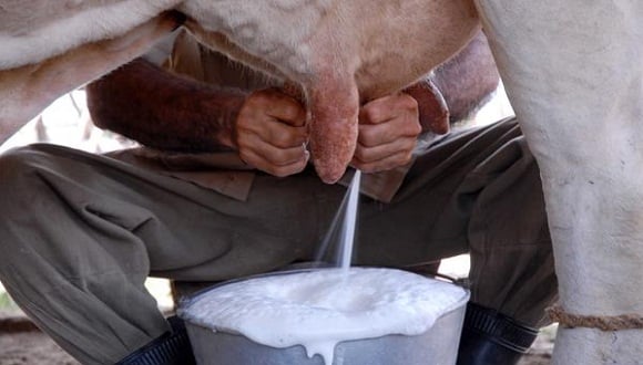 ganaderos producción leche Sandino