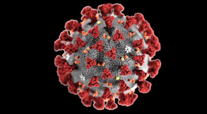 ómicron sars-cov-2