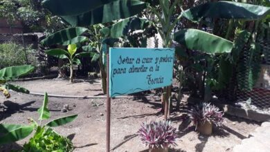 estación territorial protección plantas sandino