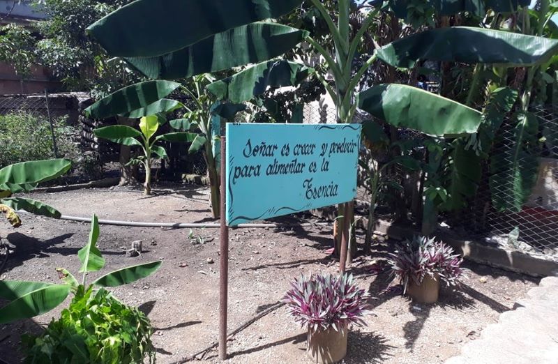 estación territorial protección plantas sandino