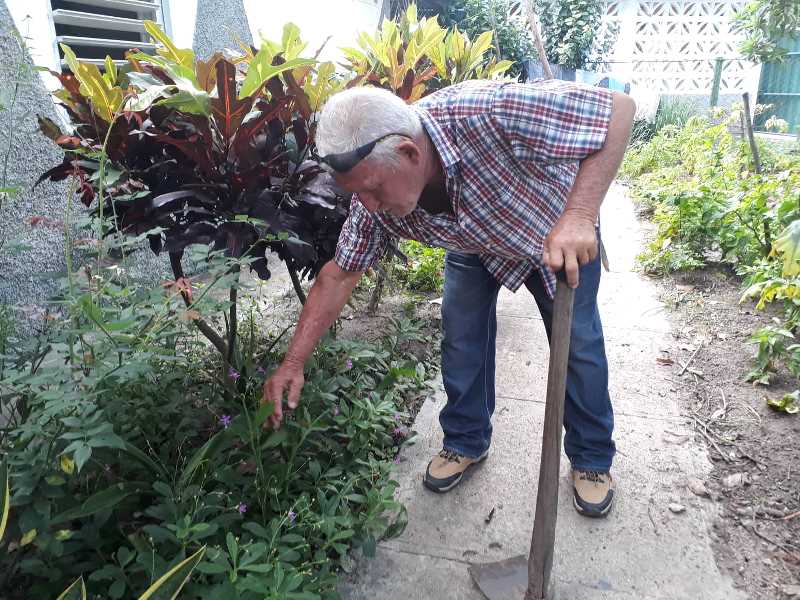 Gabriel cultiva alimentos
