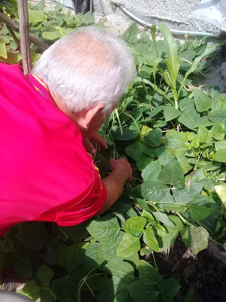 Gabriel cultiva alimentos