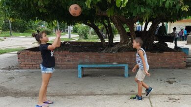 vía a la vida verano