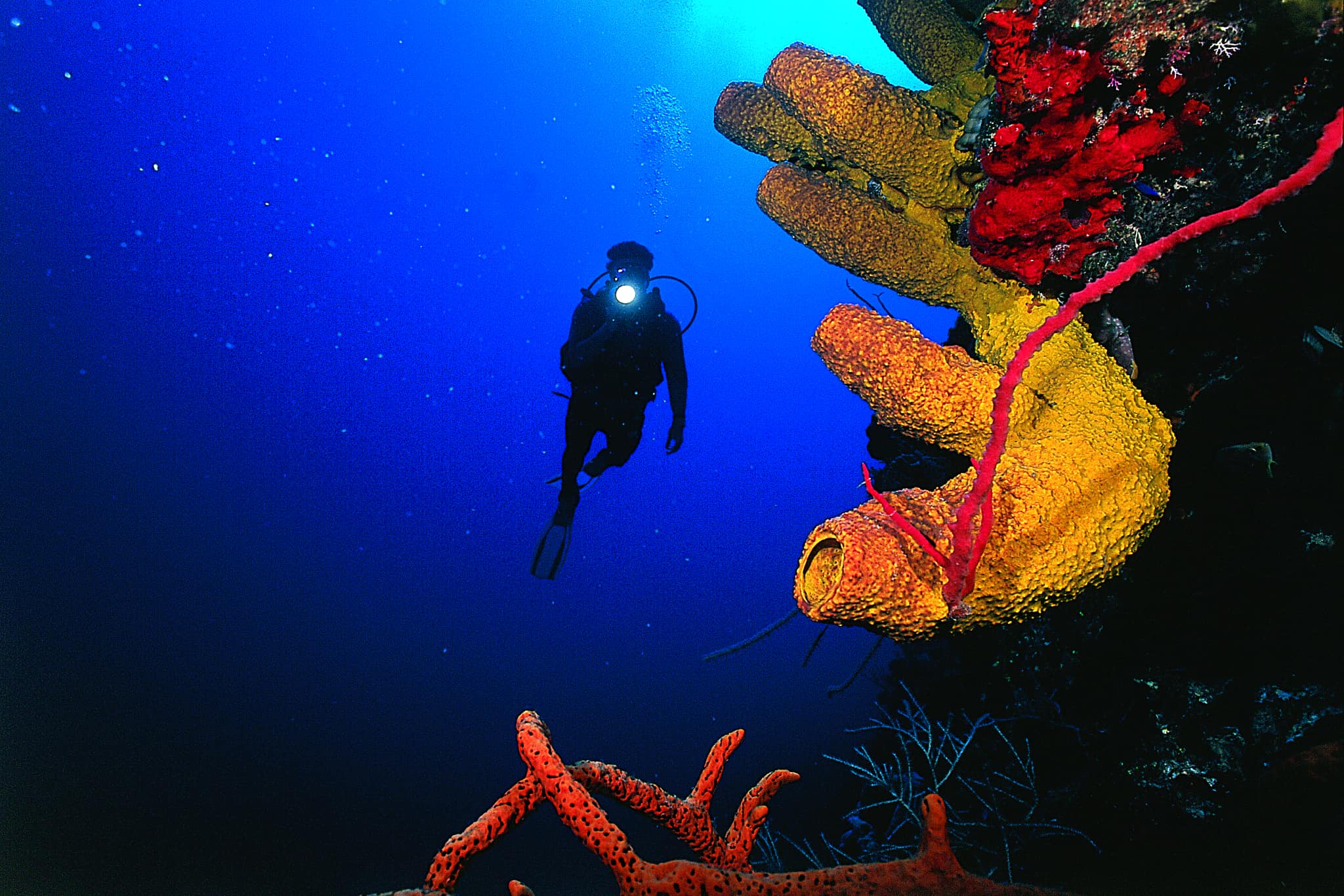 Turismo de Naturaleza: un atractivo de Guanahacabibes