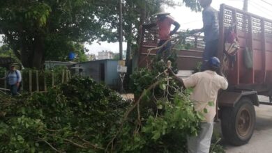 Servicios Comunales y su labor titánica en la recuperación de ciudad Sandino