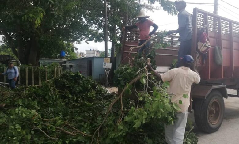 Servicios Comunales y su labor titánica en la recuperación de ciudad Sandino