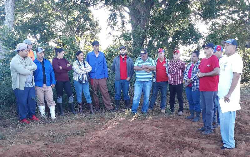 campaña de frío Sandino