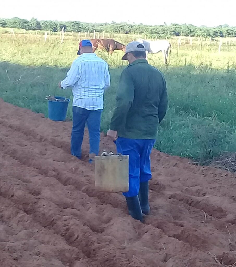 campaña de frío Sandino