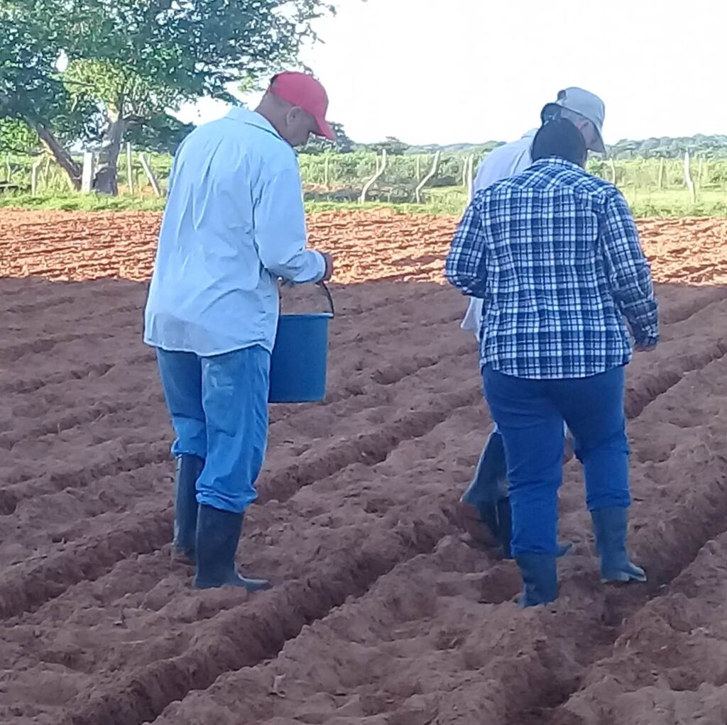 campaña de frío Sandino